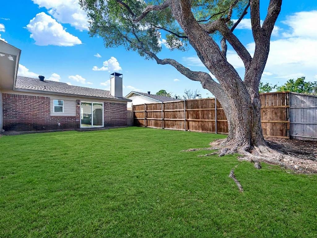 Gorgeous, mature tree in the backyard