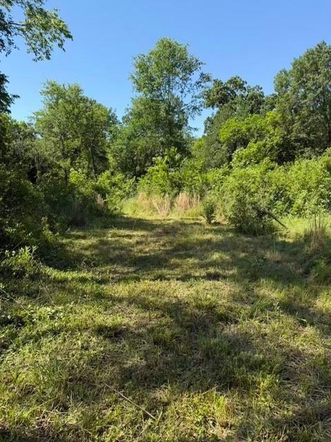 1789 FM 499, Greenville, TX 75401