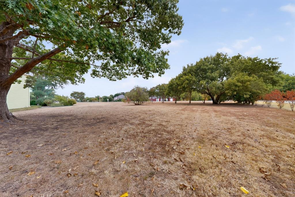 Expansive open land featuring mature trees and established perimeter shrubbery