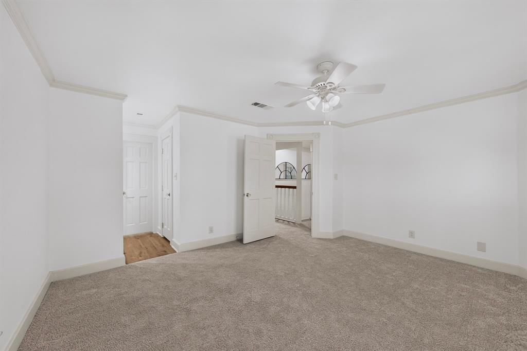Expansive room featuring neutral carpet, crown molding, a ceiling fan, and white paneled doors