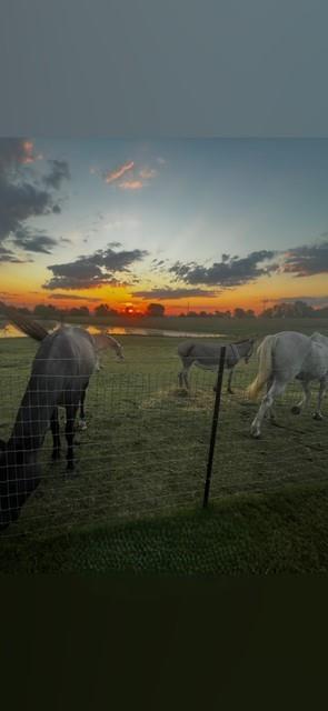 1240 Union Hill Road, Ennis, TX 75119