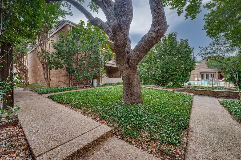 Mature Trees at The Arrangement Condos