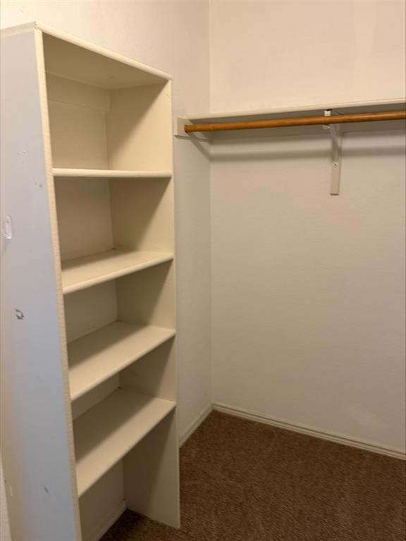Built-in shelving unit with multiple shelves, clothing rod, and carpet flooring