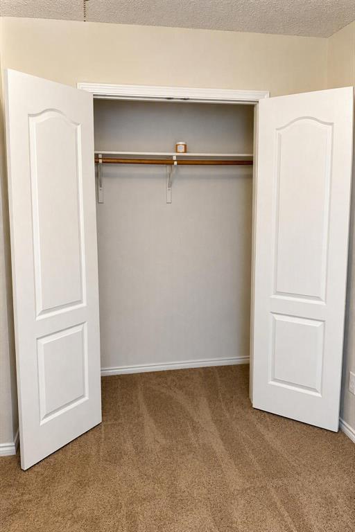 Two-panel interior doors opening to an organized closet space with a built-in rod