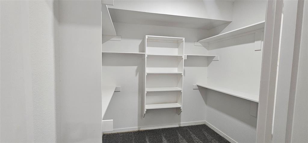 Expansive walk-in closet featuring extensive built-in shelving, white painted walls, and carpet flooring