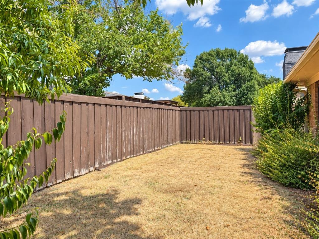 Back Yard