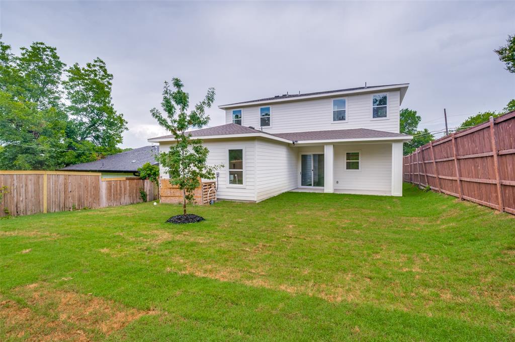 Expansive backyard with a manicured lawn, a young tree, and privacy fencing