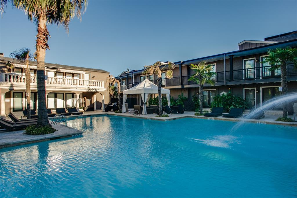 Expansive swimming pool with water feature, surrounding hardscaping, and mature palm trees