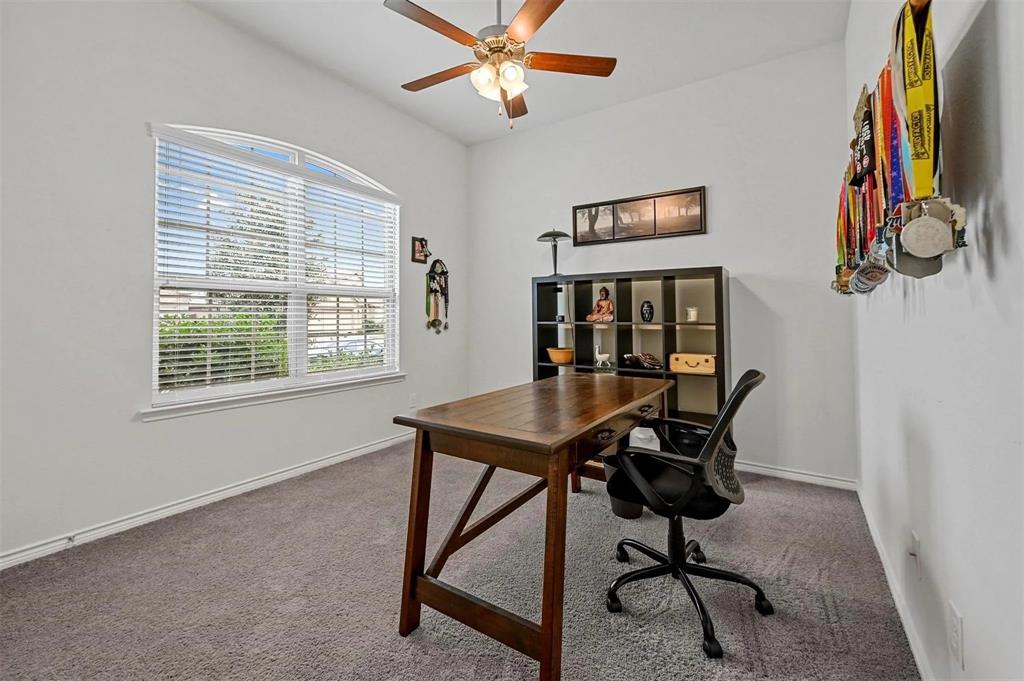 Arched window with blinds, ceiling fan with light fixture, neutral carpet, and white walls Arched window with blinds, ceiling fan with light fixture, neutral carpet, and white walls