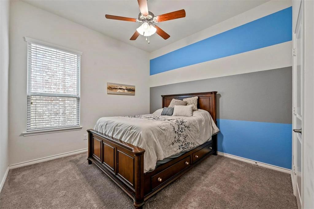 Carpeted room featuring a ceiling fan, window with blinds, and a wall with horizontal blue and gray stripes