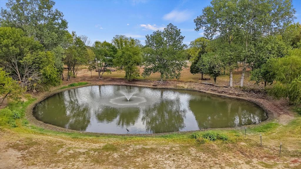 Stocked Pond in Backyard! Stocked Pond in Backyard!
