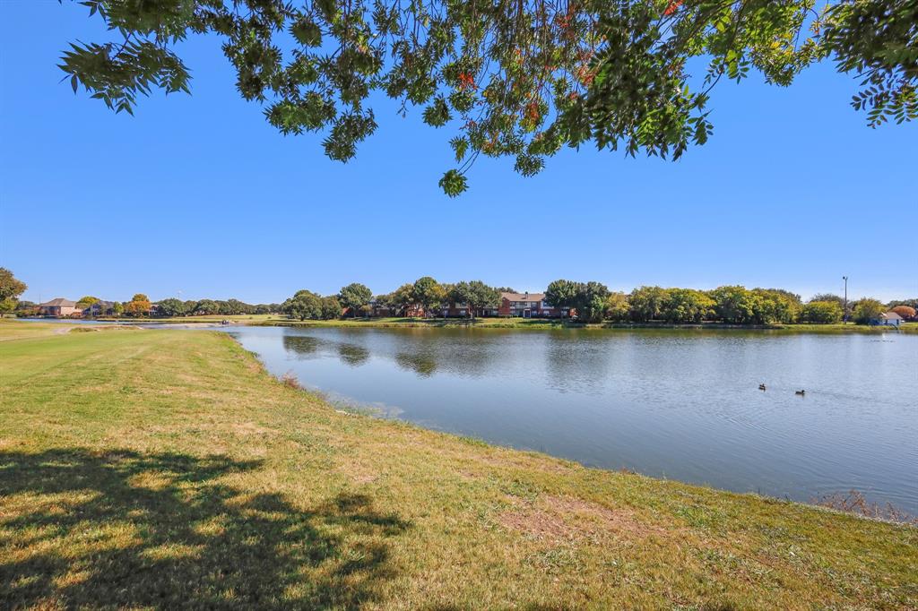 Community Pond