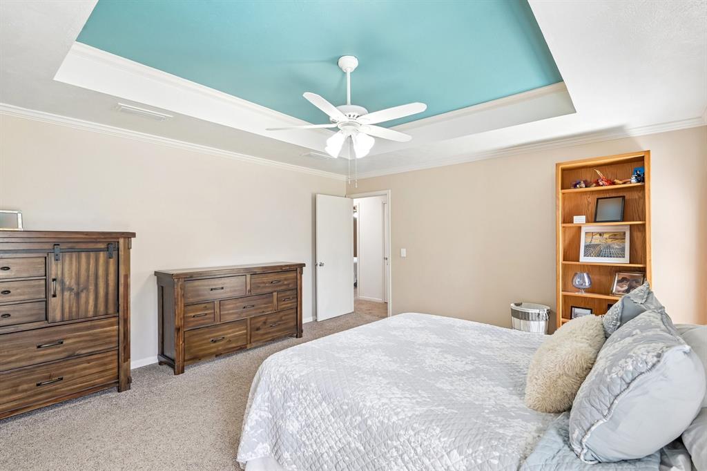 Tray ceiling with accent color, crown molding, ceiling fan, and carpeted flooring