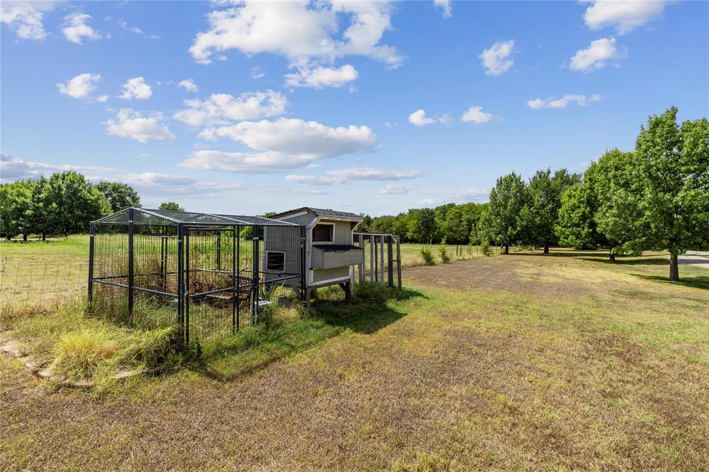 Chicken coop