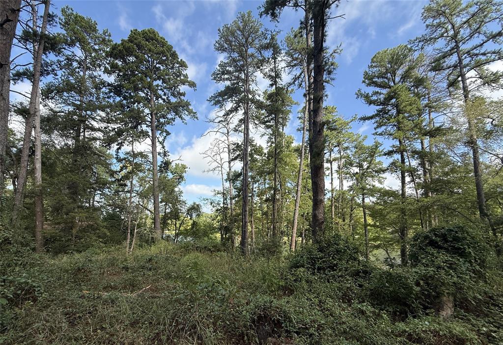13254 County Road 468, Tyler, TX 75704