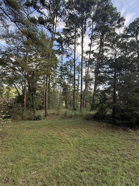 13254 County Road 468, Tyler, TX 75704