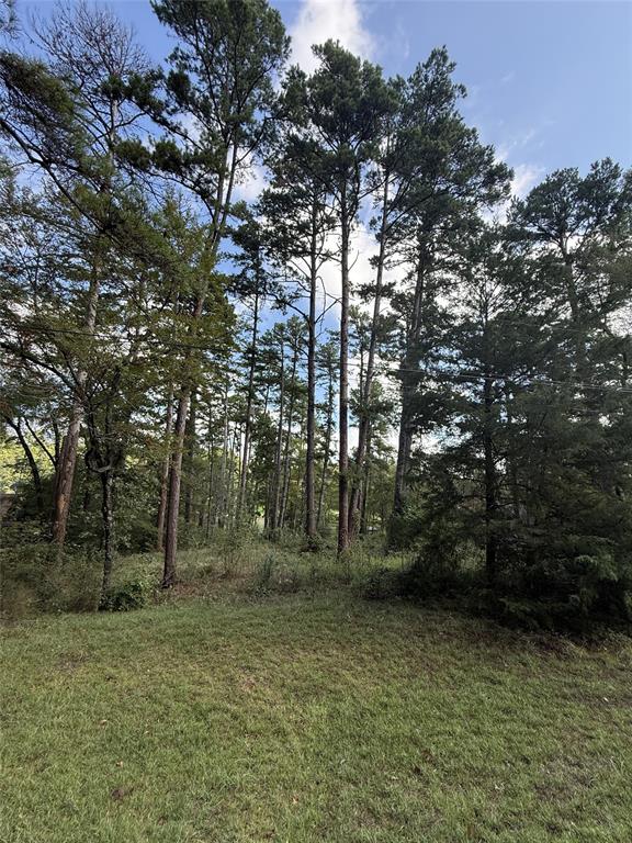 13254 County Road 468, Tyler, TX 75704