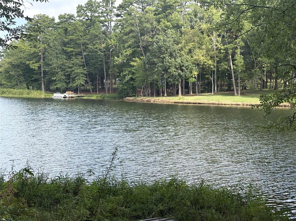 13254 County Road 468, Tyler, TX 75704
