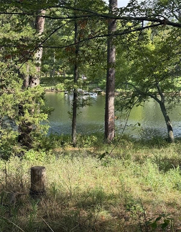 13254 County Road 468, Tyler, TX 75704
