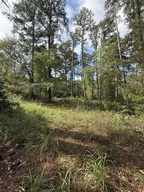 13254 County Road 468, Tyler, TX 75704