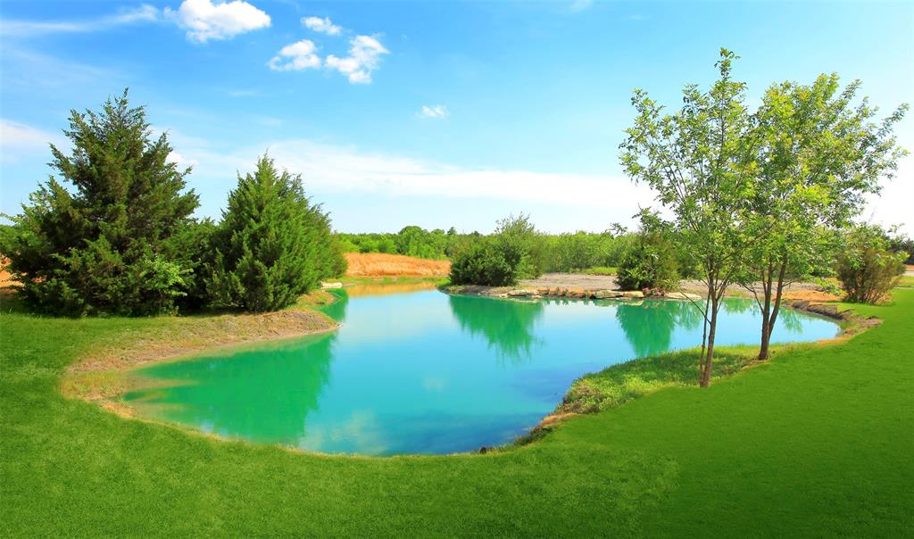 920 Wood Duck Court, Heath, TX 75126