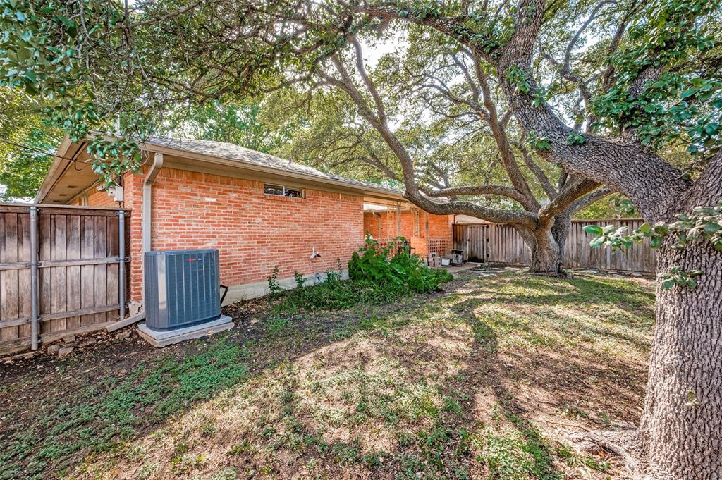 Backyard with beautiful mature oak tree