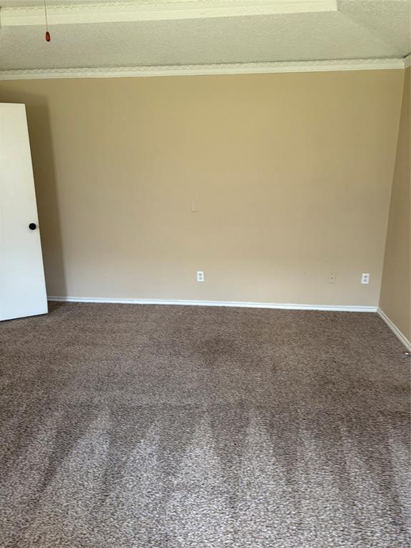 Textured carpeting, neutral wall tones, white trim, and crown molding