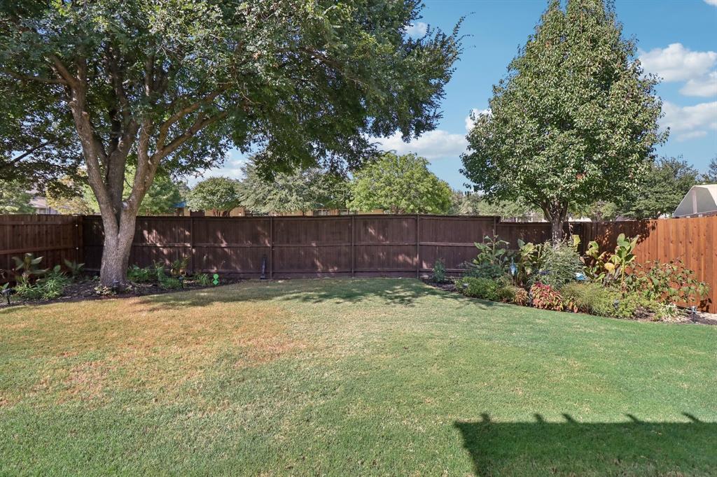 Landscaped Backyard
