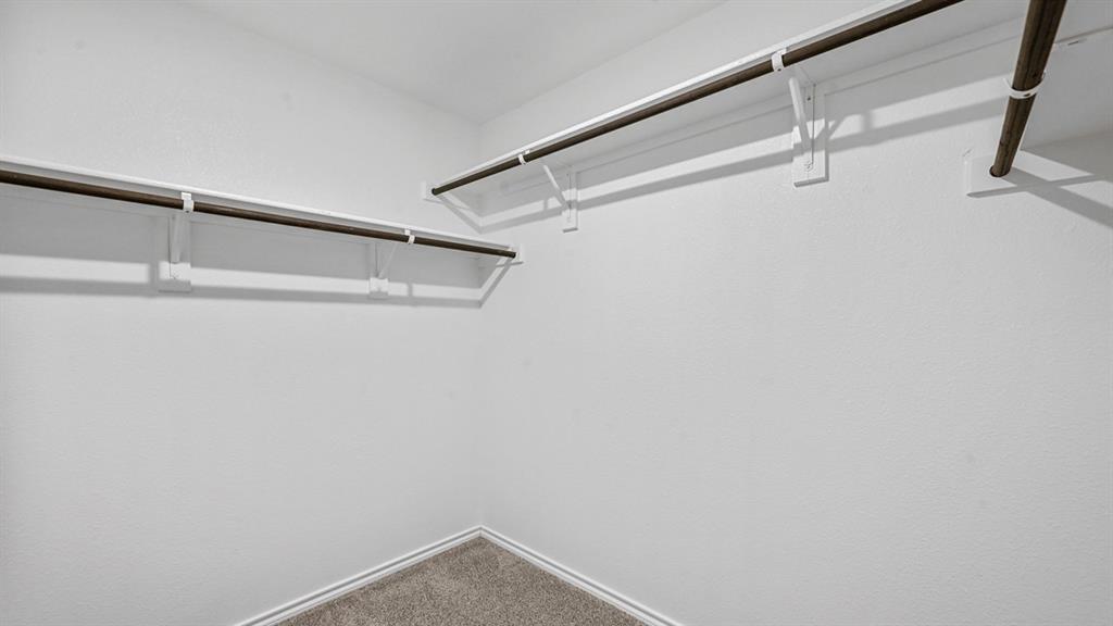 Walk-in closet with ample storage, integrated shelving, and carpeted flooring