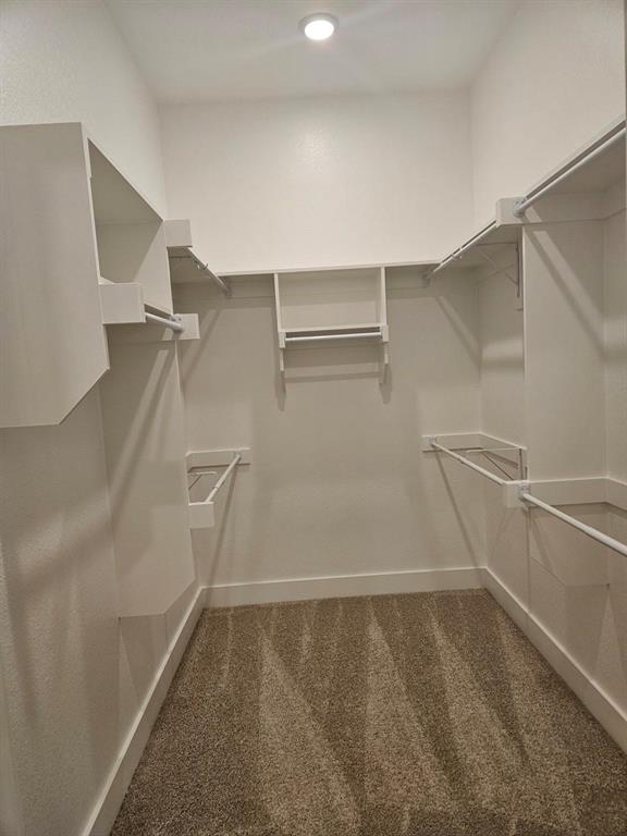 Walk-in closet with built-in shelving, hanging rods, recessed ceiling light, and carpet flooring