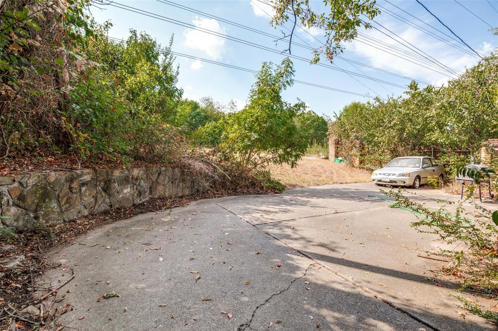 Stone retaining wall with established trees and foliage