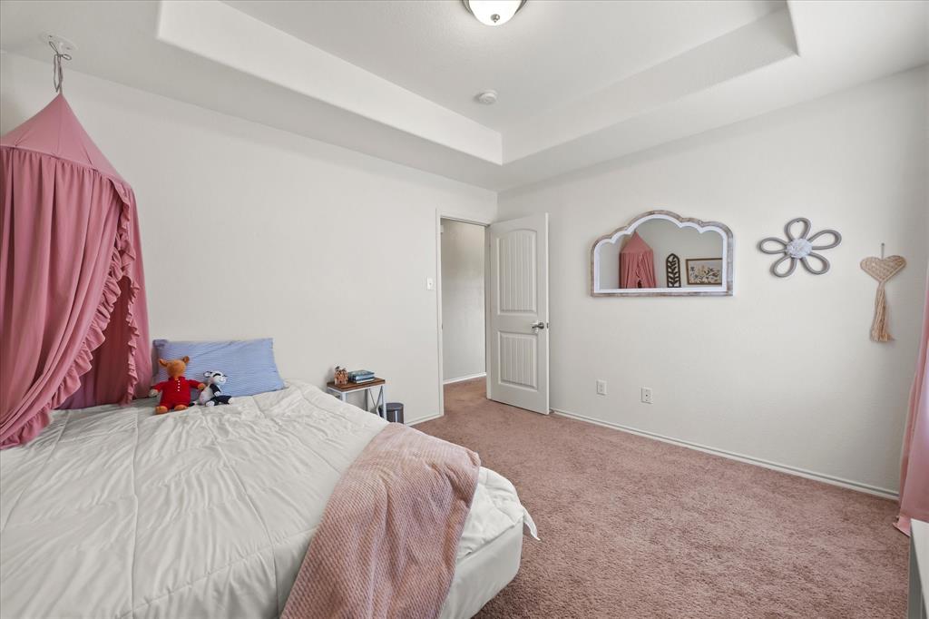 Tray ceiling, neutral wall paint, white trim, paneled door, and carpeting