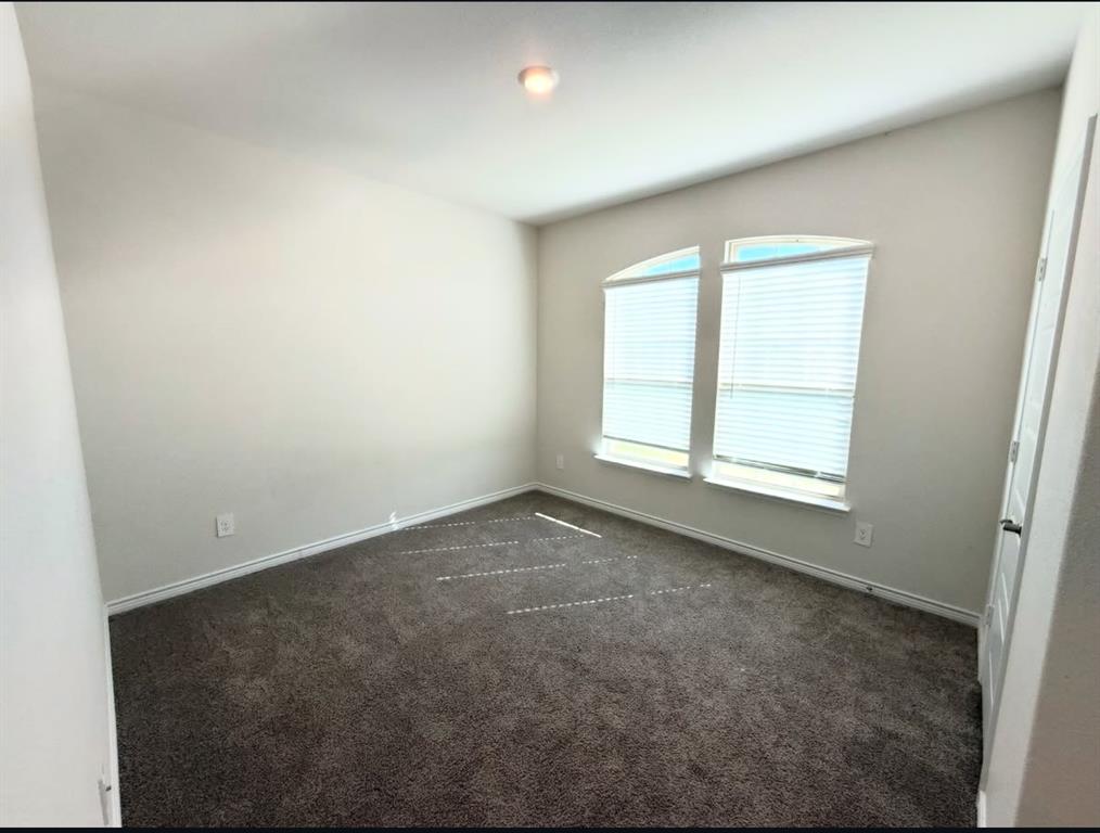Neutral wall tones, plush carpeting, dual arched-top windows, and ceiling-mounted lighting