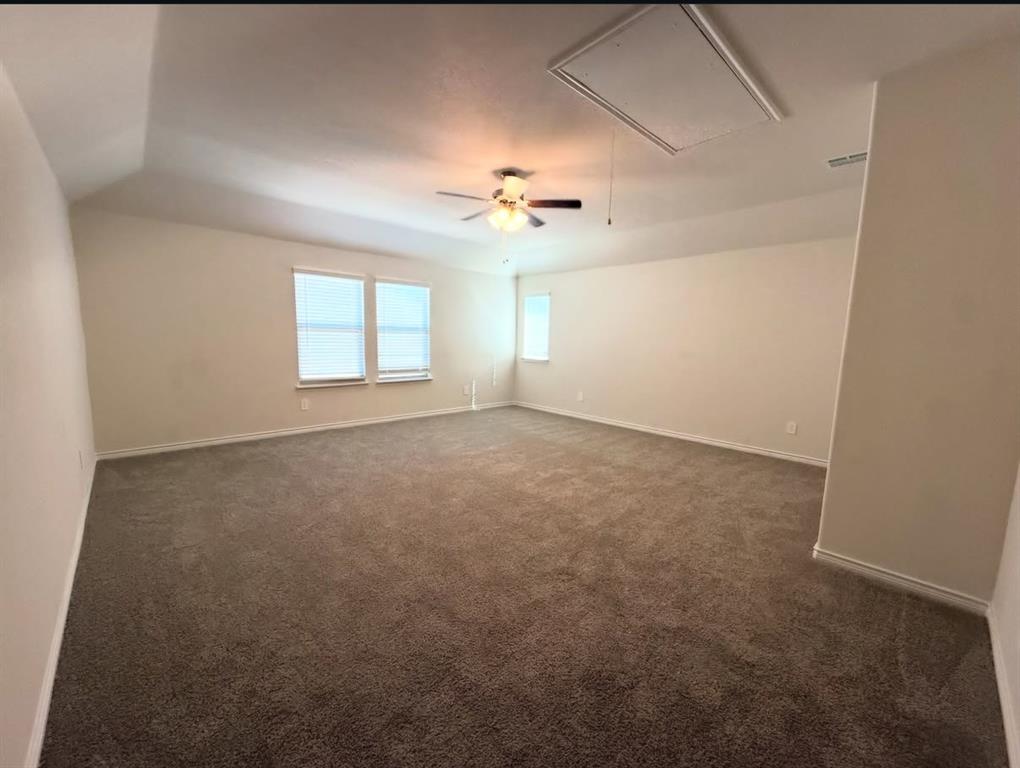 Spacious room featuring a tray ceiling, neutral wall tones, wall-to-wall carpeting, three windows, and a ceiling fan with integrated lighting