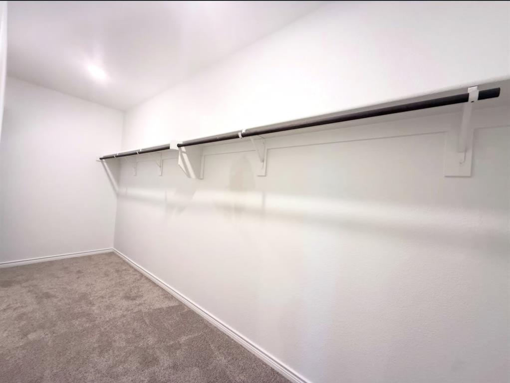 Walk-in closet featuring wall-to-wall carpeting and extended metal clothing rods with white support brackets