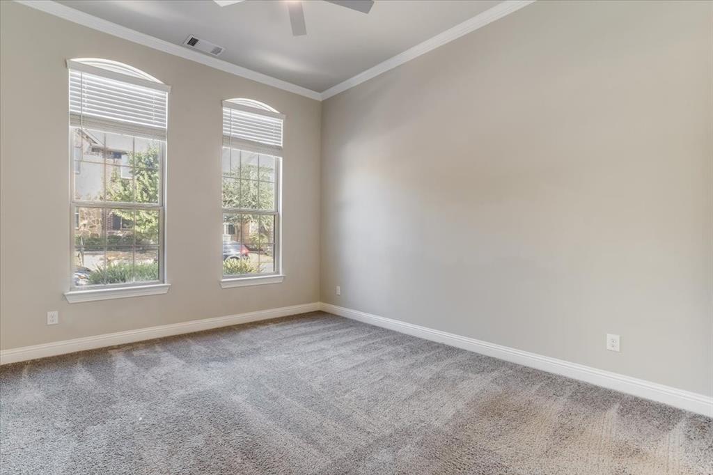 Dual arched windows with blinds, crown molding, ceiling fan, and grey carpet flooring