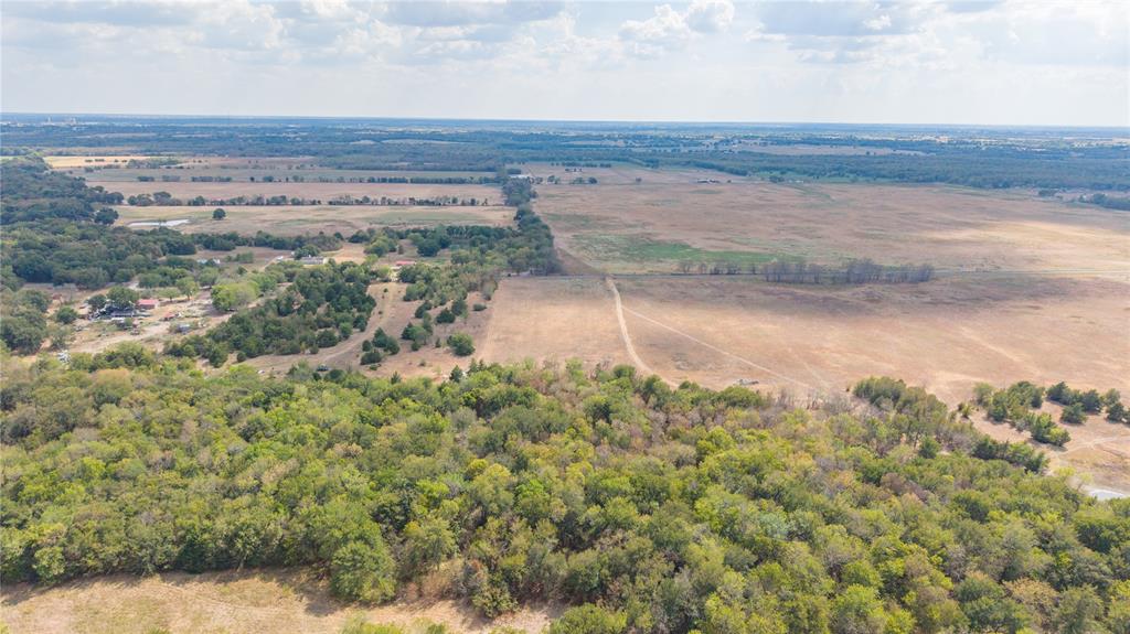Dense grove of trees at the back of the property