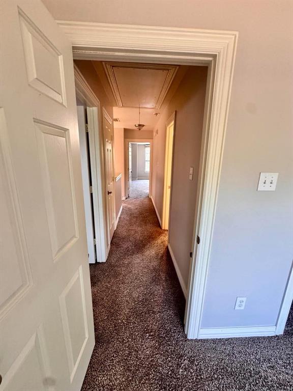 Recessed ceiling panel, overhead lighting fixture, and carpeted flooring