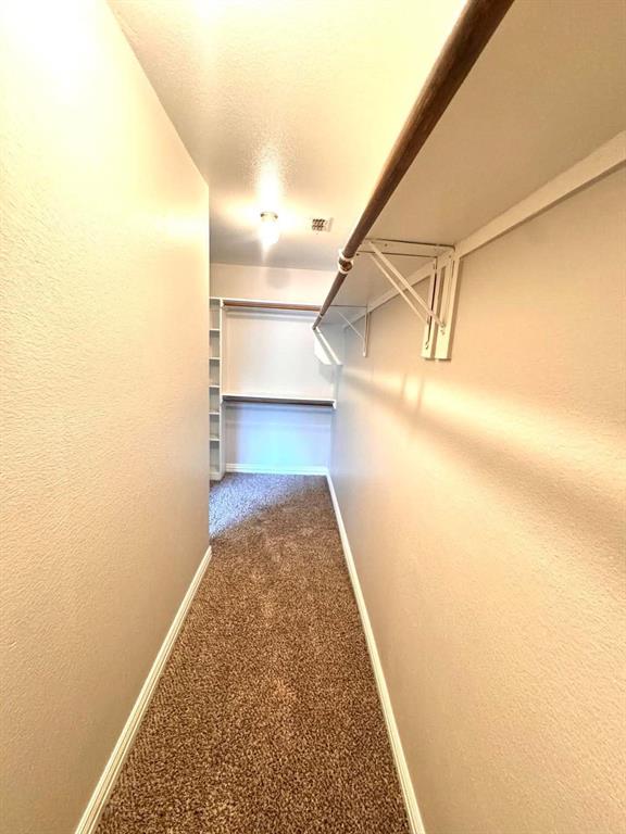 Carpeted hallway with a clothing rod and integrated shelving