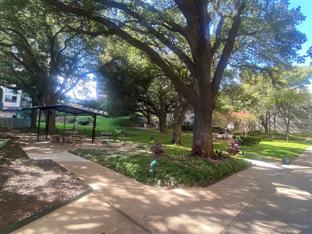 Beautiful private courtyard with pool, dog park, grills, trees and flowers.