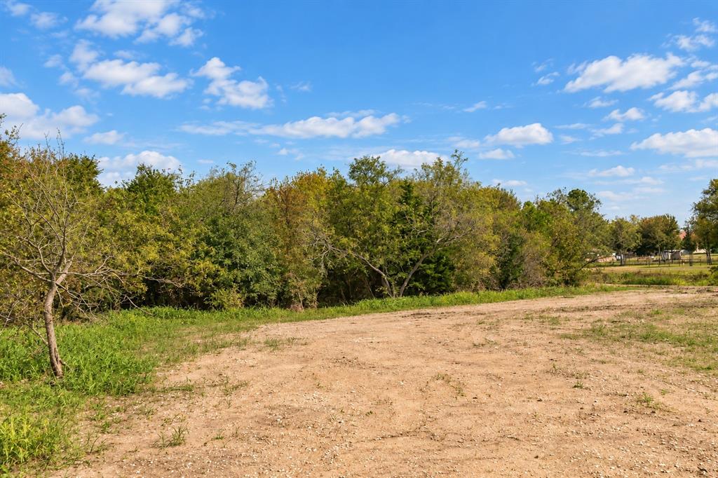 Expansive land parcel with clear ground and abundant mature trees