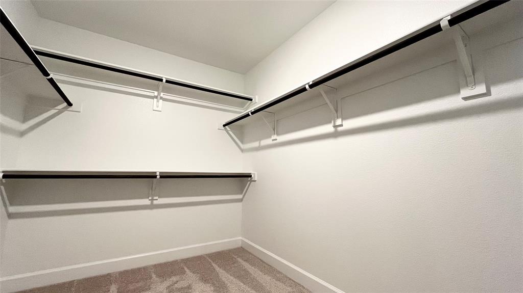 Walk-in closet featuring white walls, carpet flooring, and multiple built-in shelving units with hanging rods