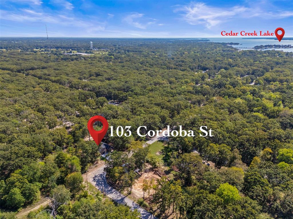 103 Cordoba Street, Payne Springs, TX 75156
