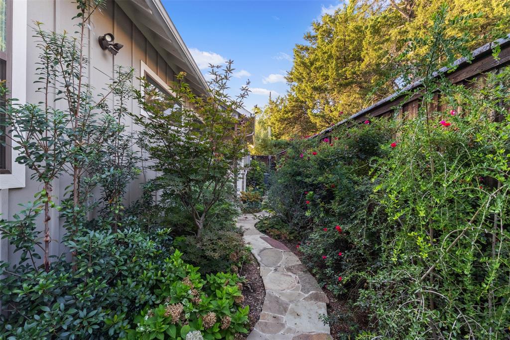 Side Yard