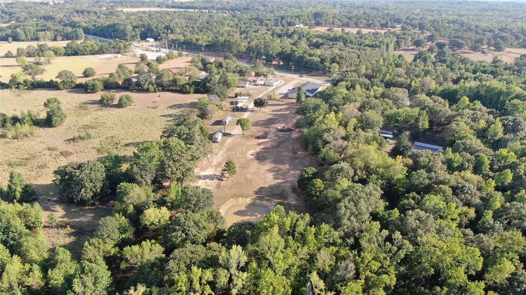 Expansive wooded acreage featuring a natural pond and clearings