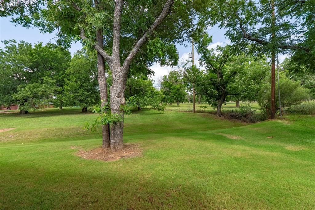 Orchard view