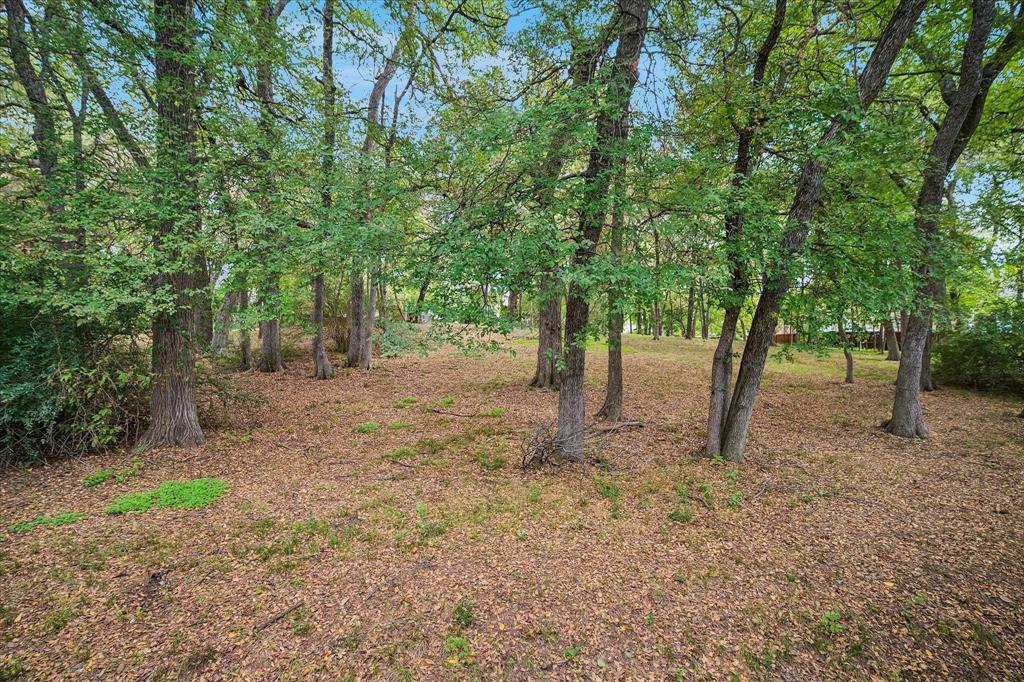 Public Green Space not part of the backyard