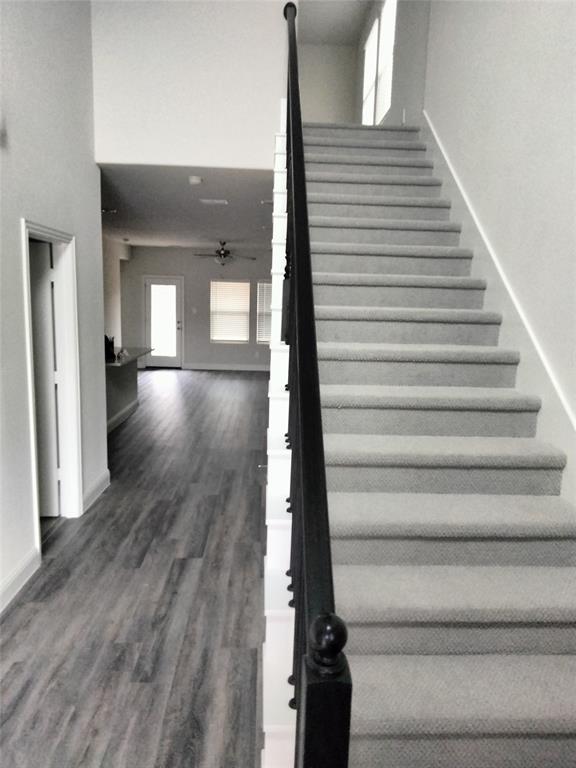 Carpeted staircase with dark iron balusters, wood-finish flooring, and a spacious open lower level