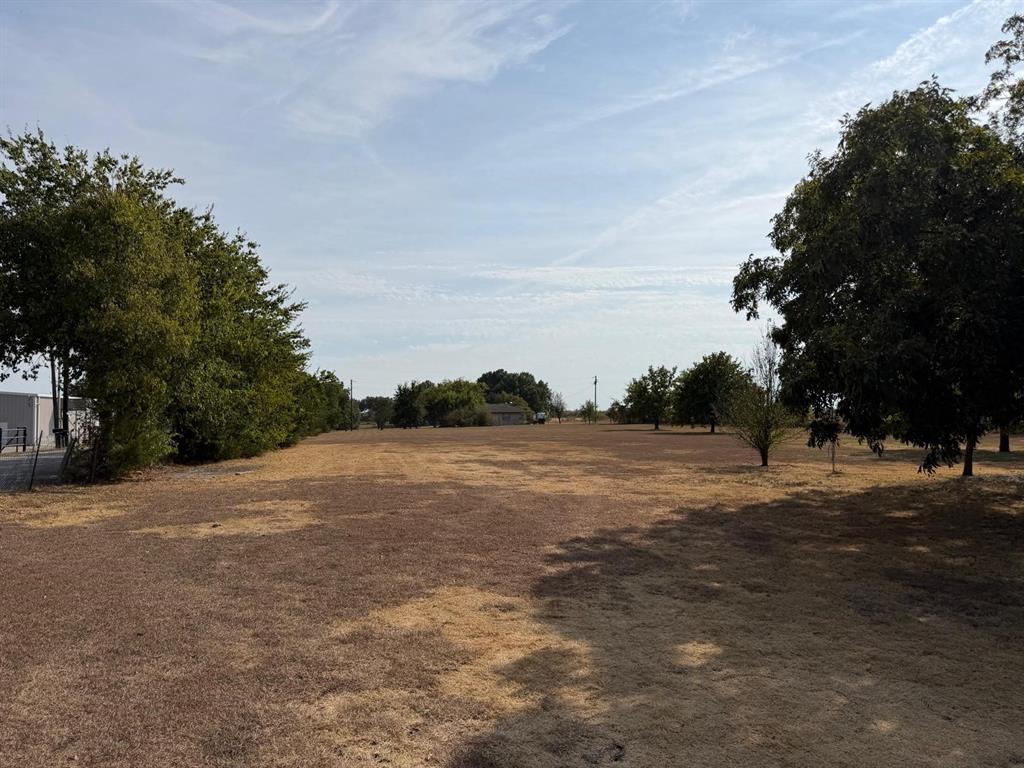 Expansive open land with scattered mature trees and distant structures
