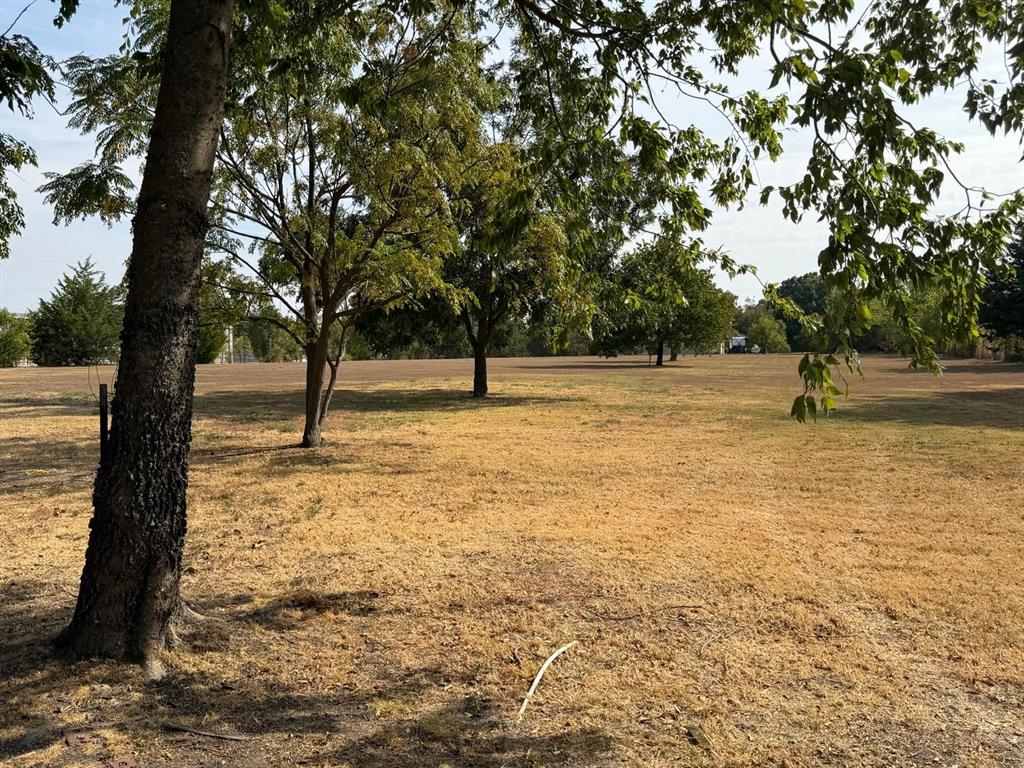 Expansive open lot featuring mature trees and a substantial grassy area